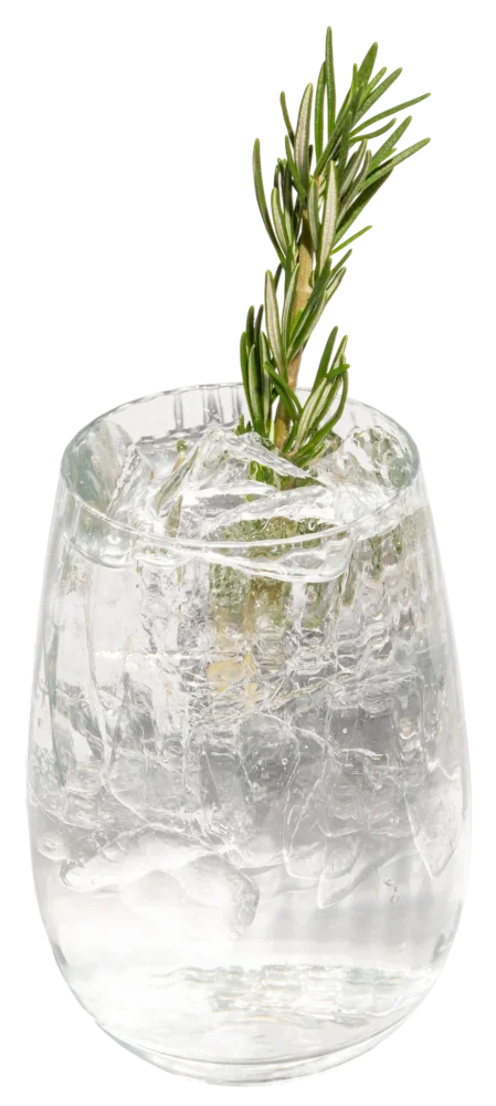 Rosemary Spritz