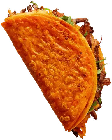 Birria Taco with melted cheese, onions and cilantro