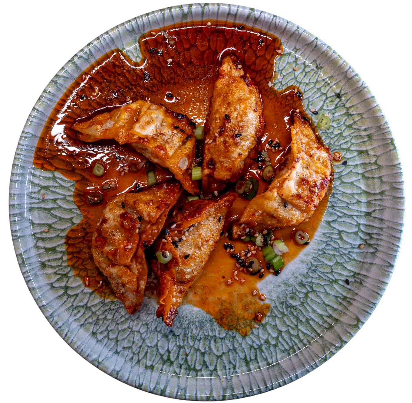 Gyoza Potsticker