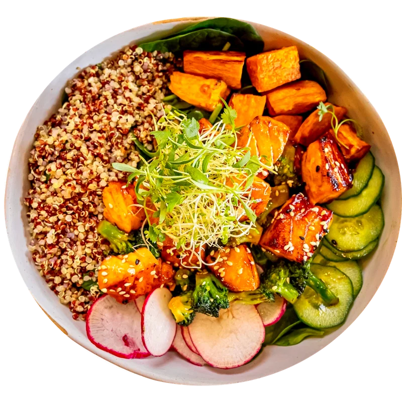 SALMON BOWL