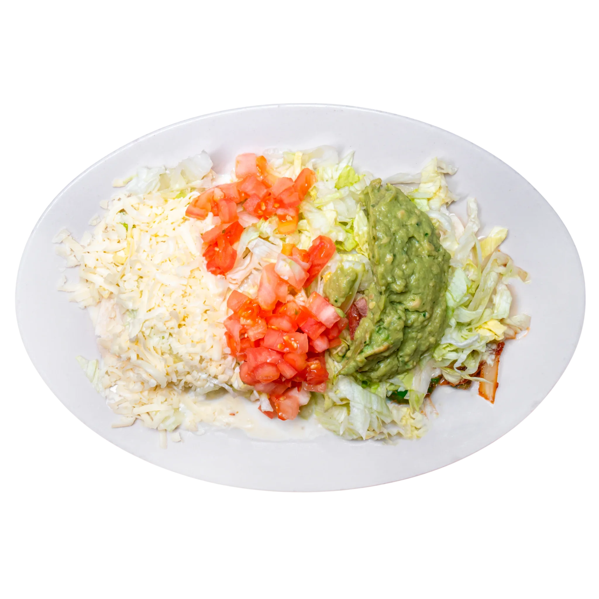 Mexican Burrito